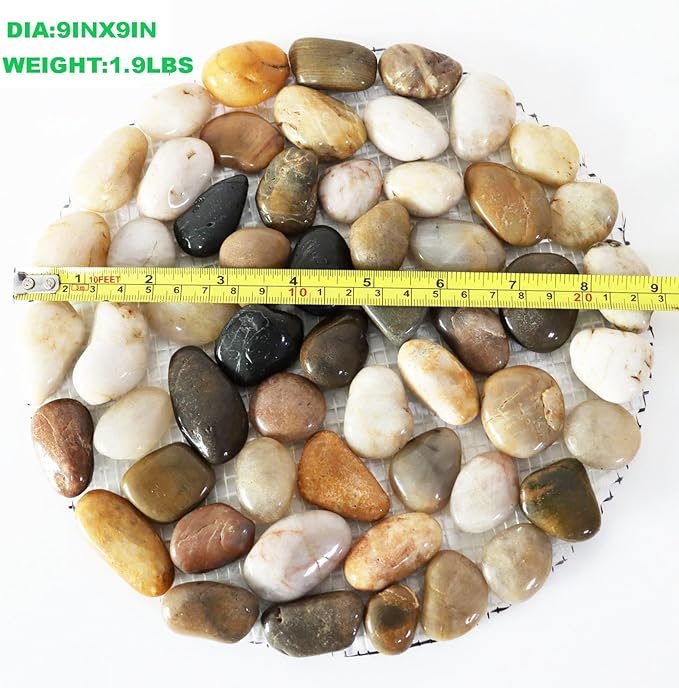 71hNkIXLIiL._AC_SX679_