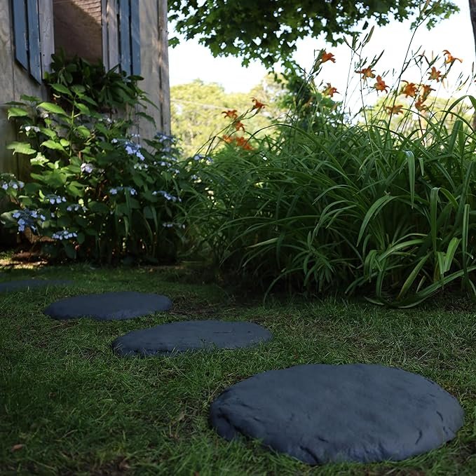 91TbV2oDU3L._AC_SX679_