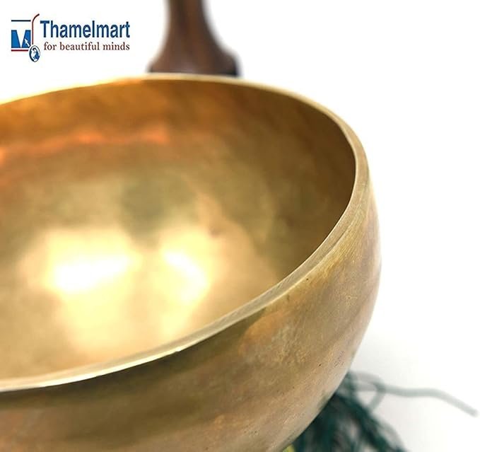 51+m+Lx+wsL._AC_SX679_