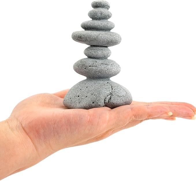 61PZFppwSrL._AC_SX679_