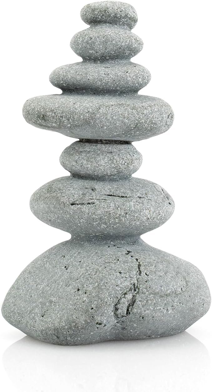 71DzNJoT5FL._AC_SX679_