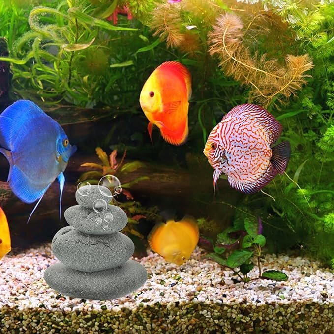 71S8mn8jGDL._AC_SX679_