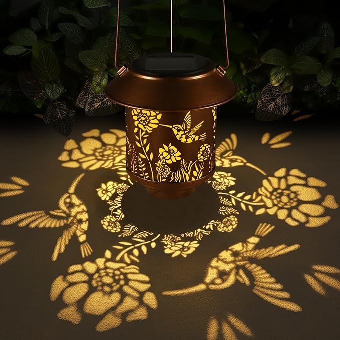 71rHP6d5IhL._AC_SX679_