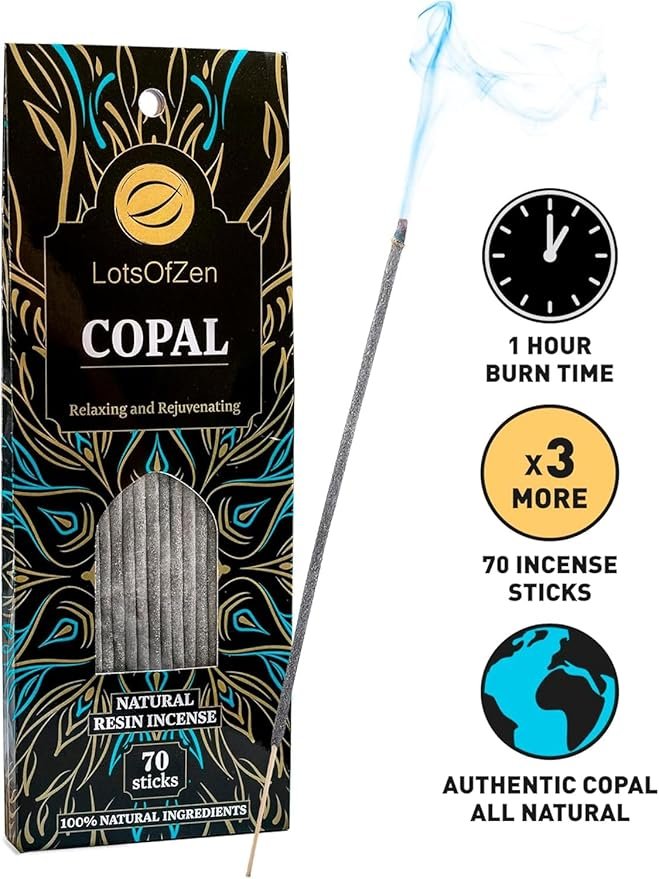 71y2+aLZ2bL._AC_SY879_