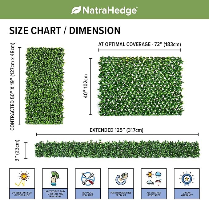 811cfwnhQSL._AC_SX679_