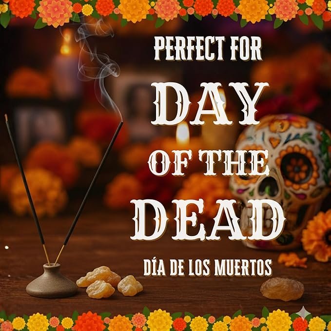 817MZQSro8L._AC_SX679_