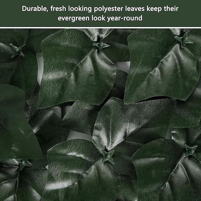 81YbrypypmL._AC_SX679_