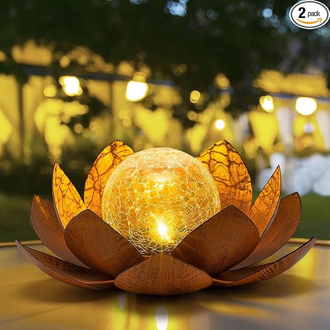 81ZU4C5RtjL._AC_SX679_PIbundle-2,TopRight,0,0_SH20_