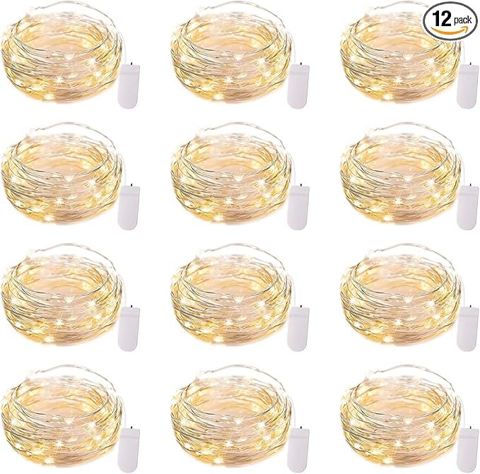 81hC1pcYxUL._AC_SX679_PIbundle-12,TopRight,0,0_SH20_