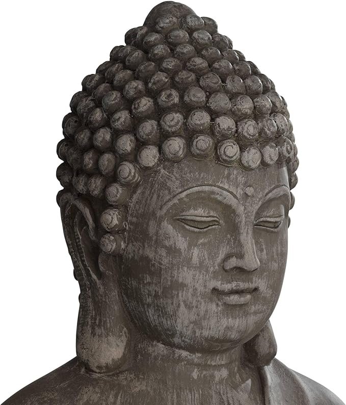 81iN1EHoyvL._AC_SX679_