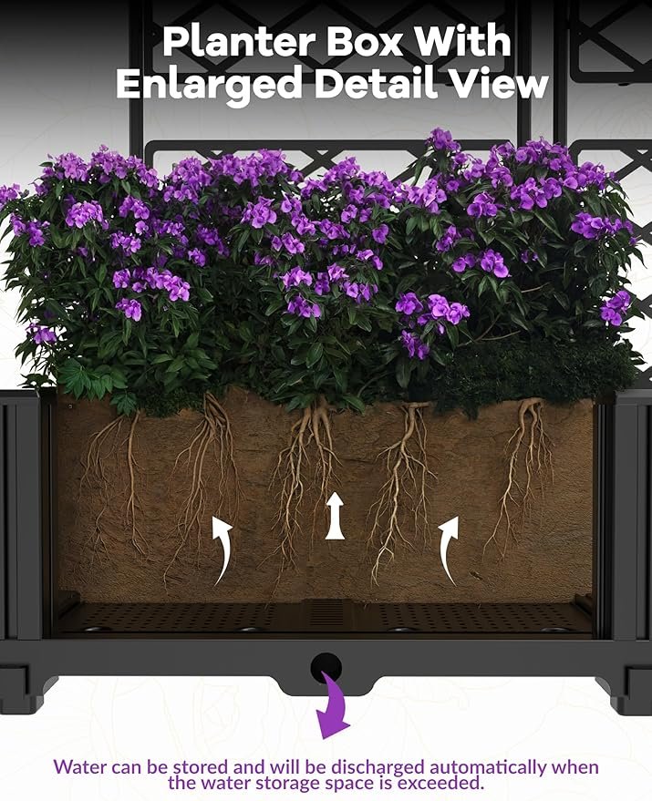 81iToP+RcxL._AC_SY879_