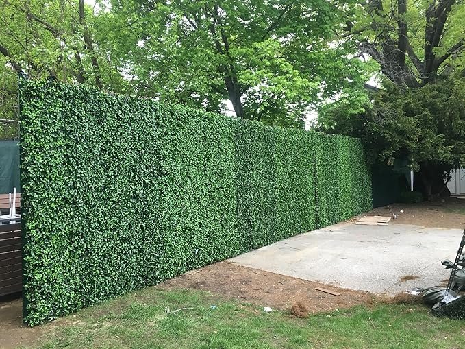 91X6CCRpVbL._AC_SX679_