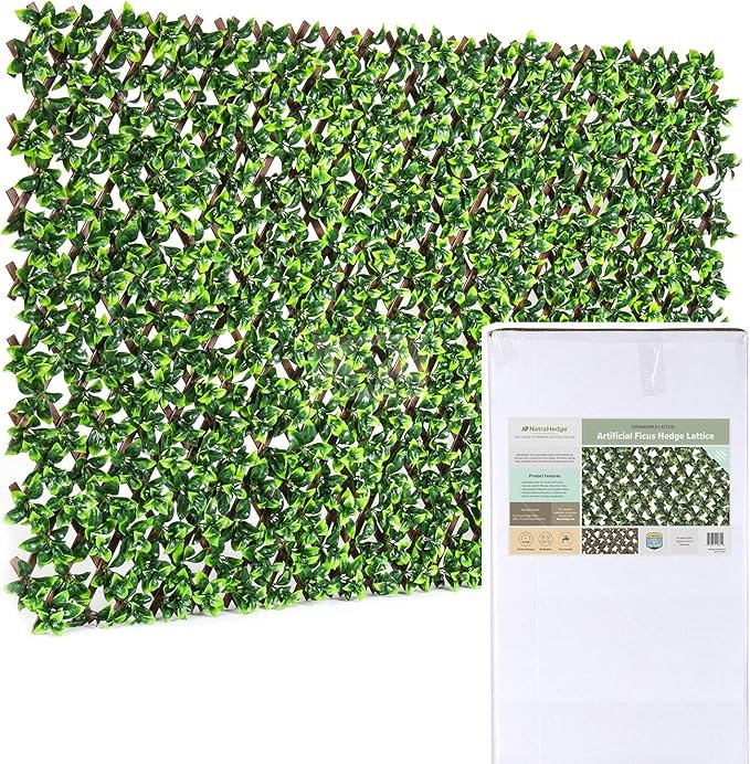 91cTPSy97pL._AC_SX679_