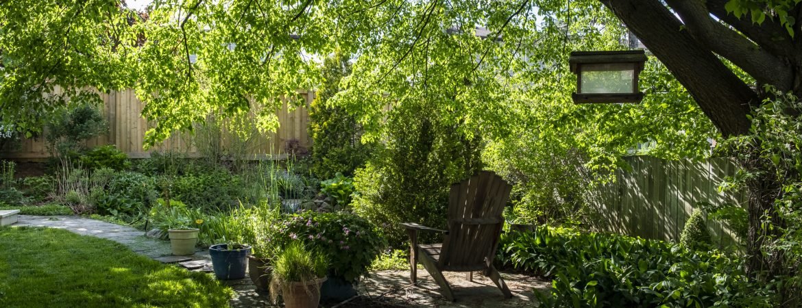 A Backyard Oasis With Plants, Trees and a Pond