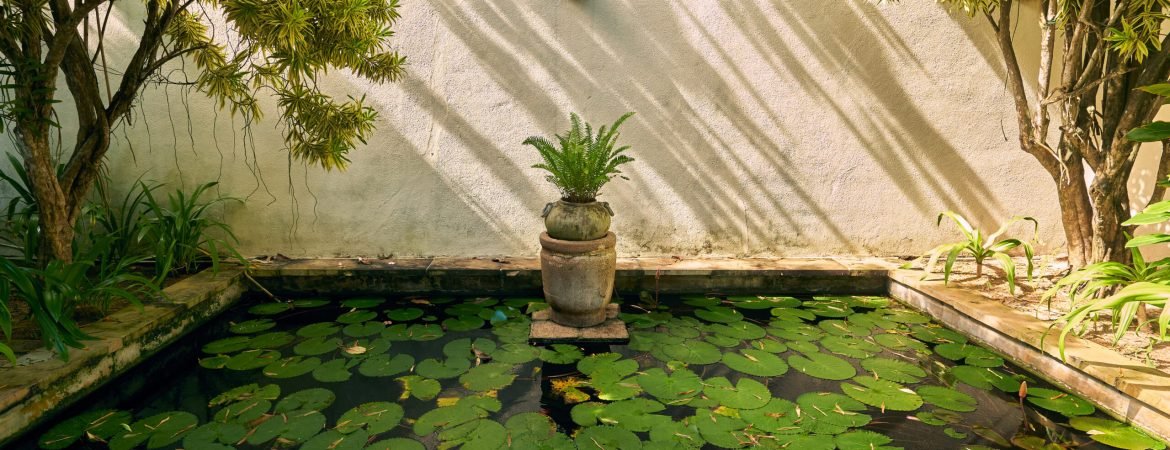 Serene garden pond with lily pads, green plants. Sunlight filters on water, tranquil atmosphere. Peaceful retreat in nature, perfect for meditation. Idyllic backyard oasis botanical theme.