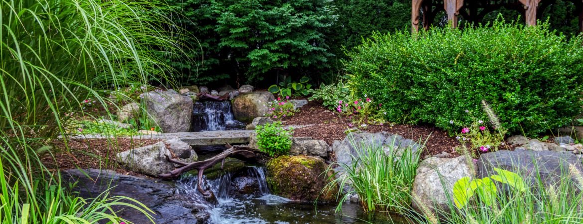 Koi pond surronded by rocks and native flowers for backyard landscape design