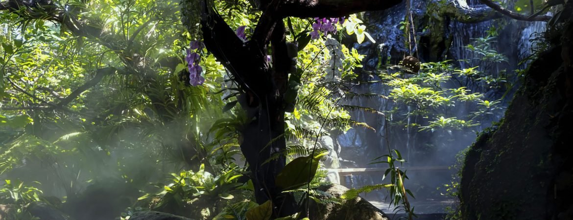 The Tropical jungle with  green of the nature as sun beam and mist-foggy in the morning at the  garden