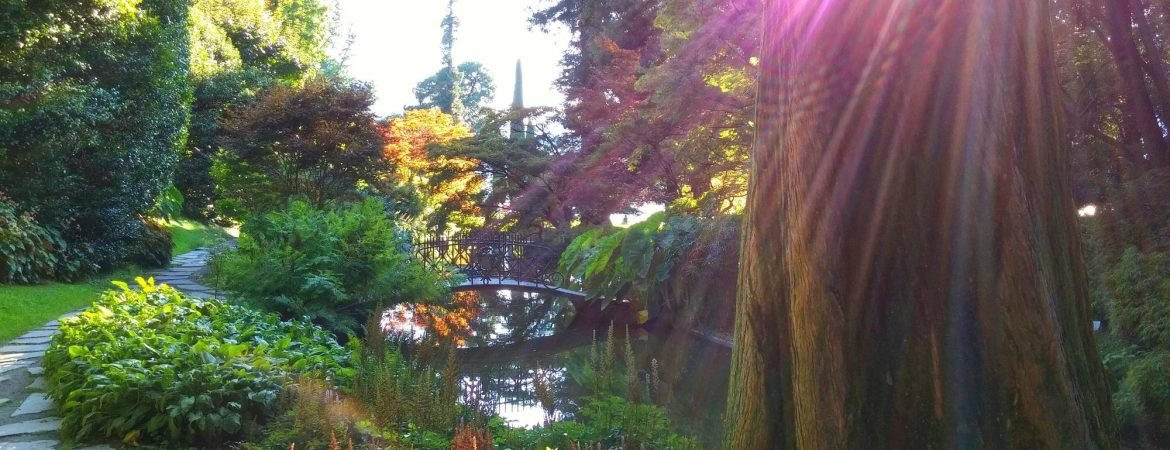 featured-image-1769245226