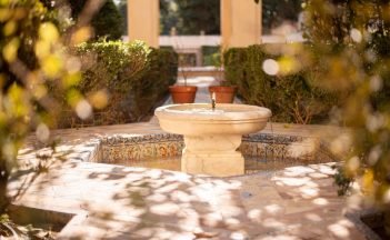 featured-image-1769590862