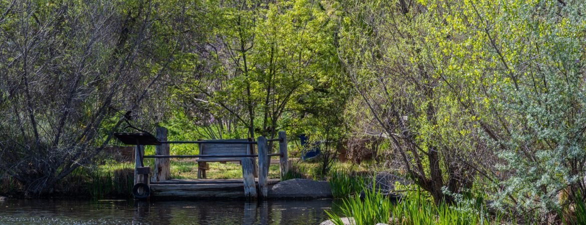 Albuquerque, New Mexico -- April 22, 2022. A 175mm photo of a beautiful pond  in a park in Albuquerque, NM
