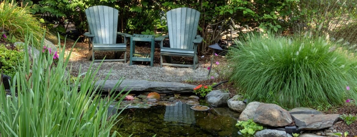 Landscape architecture with pink flowers and ornamental grasses for summer garden with water feature