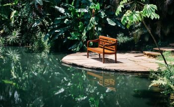 featured-image-1770818480