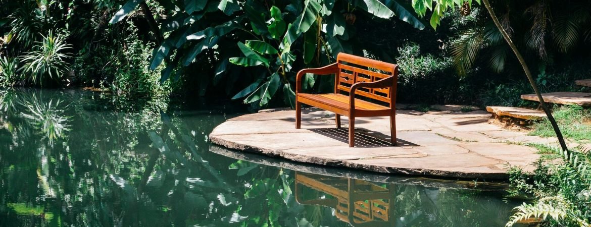 featured-image-1770818480