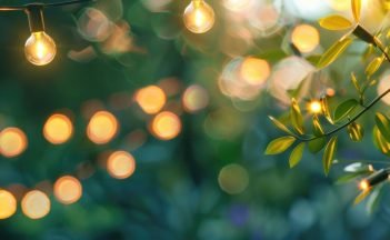 featured-image-1770973233