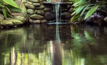 Out-of-focus close-up of a pond, in the background a stream of water and plant leaves, reflections and freshness.