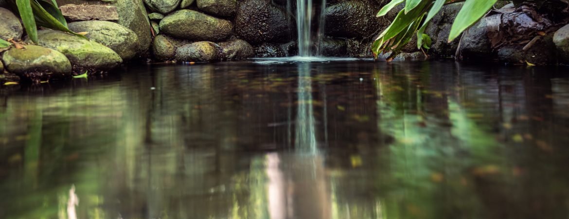 Out-of-focus close-up of a pond, in the background a stream of water and plant leaves, reflections and freshness.