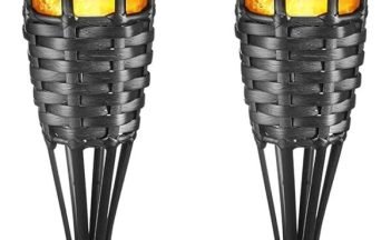 featured-image-1771318816